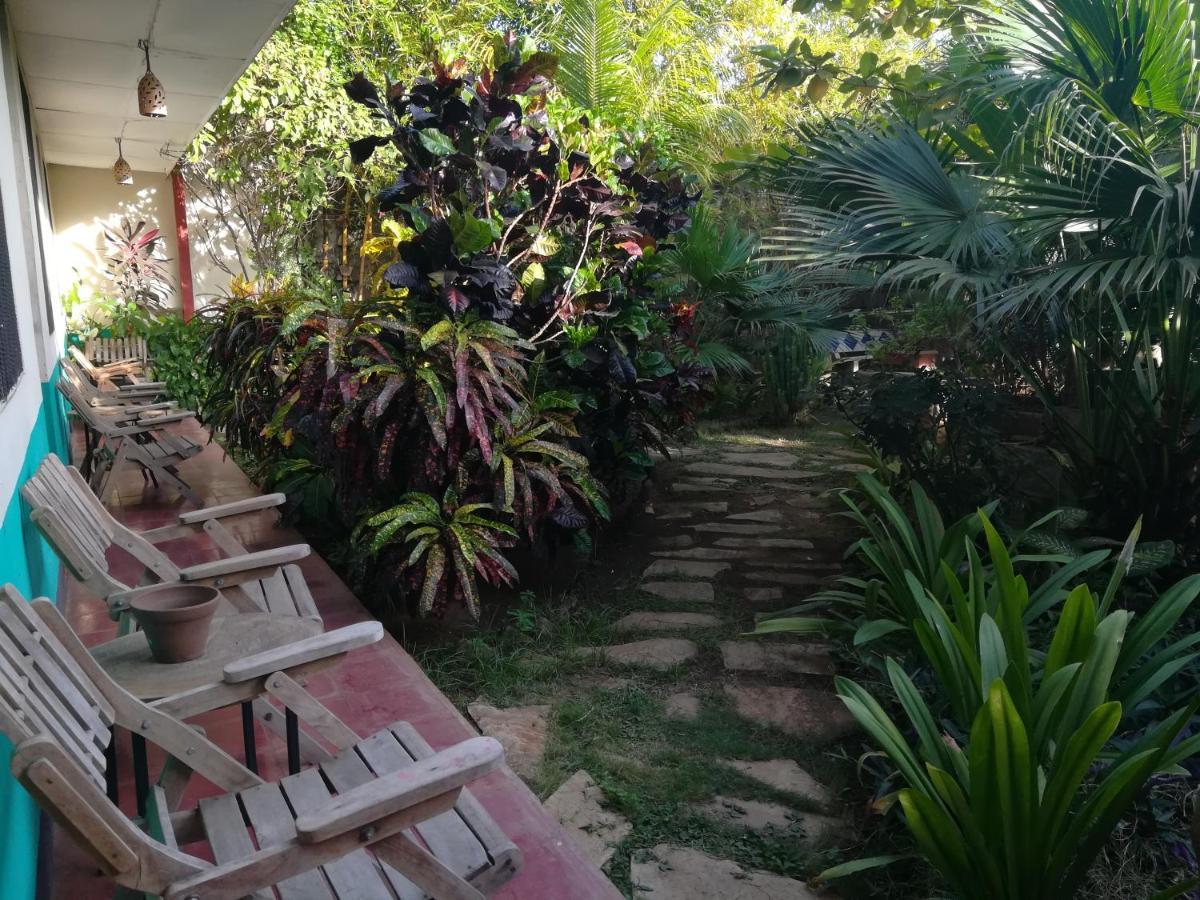 Hostal Harvest House León Kültér fotó