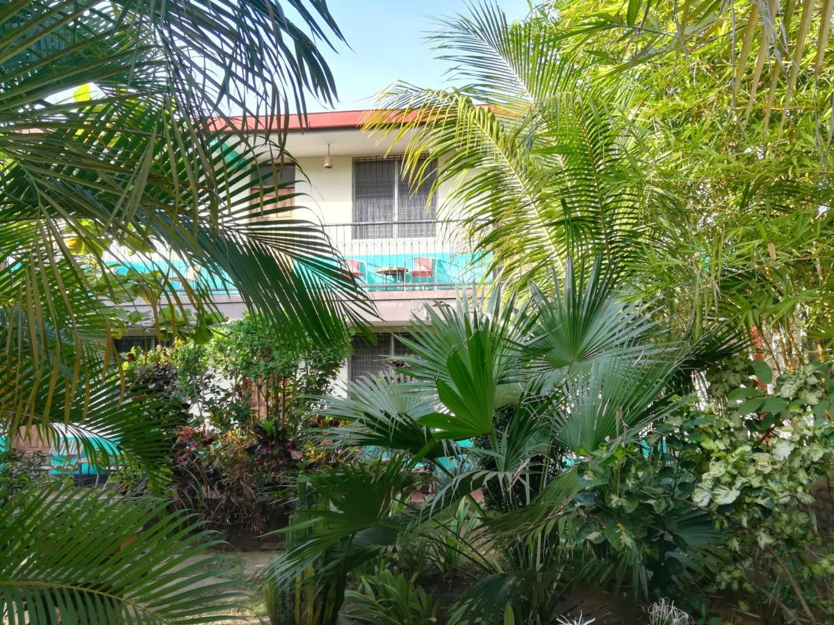 Hostal Harvest House León Kültér fotó
