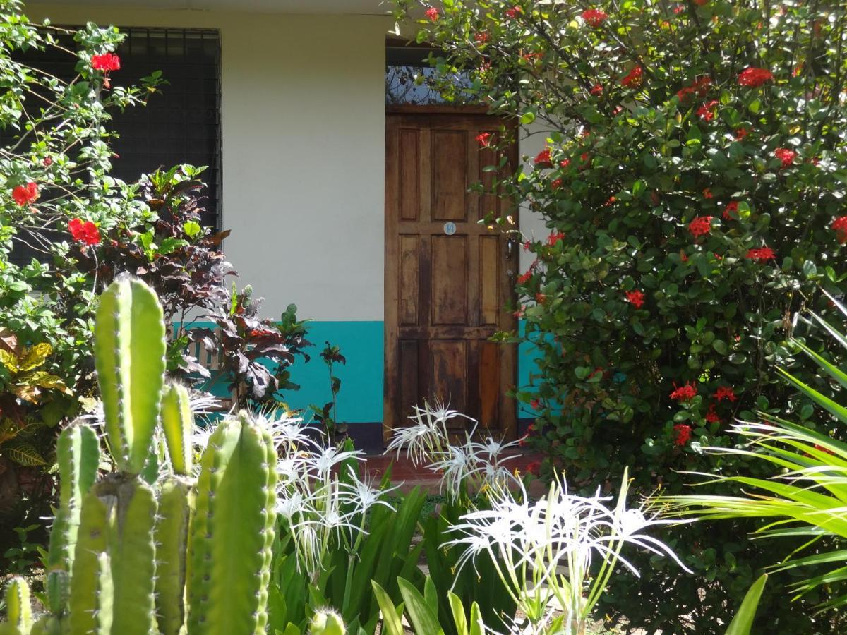 Hostal Harvest House León Kültér fotó